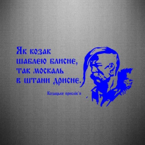 Наклейка "Як козак шаблею блисне, так москаль в штани дрисне" 40x20,6 см Синий (21563137)
