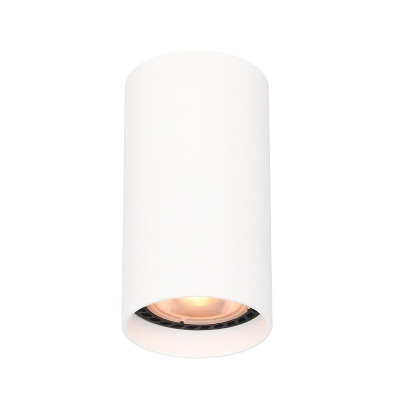 Точечный светильник Italux CLN-48930-S-WH Lopus