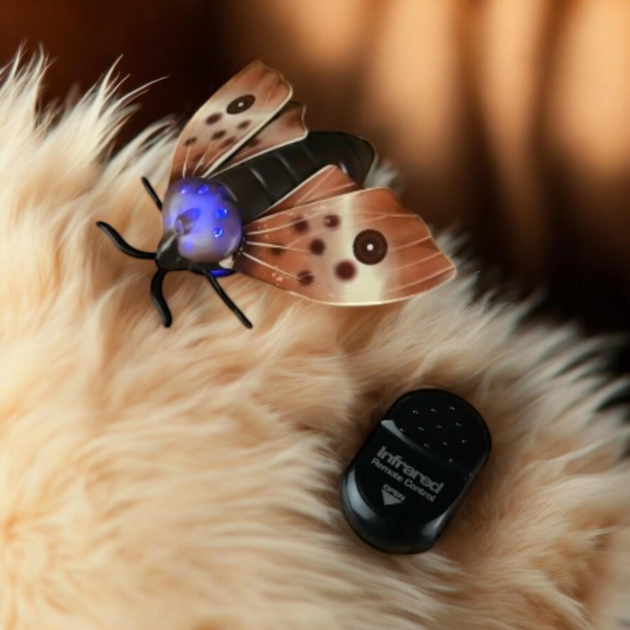 Робот метелик ZF Moth світлові ефекти на радіокеруванні (G_6662) - фото 4 Робот метелик ZF Moth світлові ефекти на радіокеруванні (G_6662) - фото 4