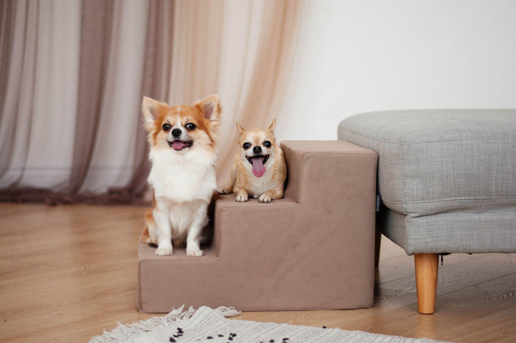 Сходинки для Собак Haustier Beige 3х-рівневі 54х40х36см (R1-1-049) - фото 4 Сходинки для Собак Haustier Beige 3х-рівневі 54х40х36см (R1-1-049) - фото 4