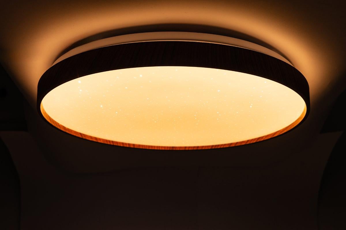 Светильник потолочный Vestum FOREST звездное небо 60W 3000К-6500К с ДУ 395х65 мм Амарант - фото 2