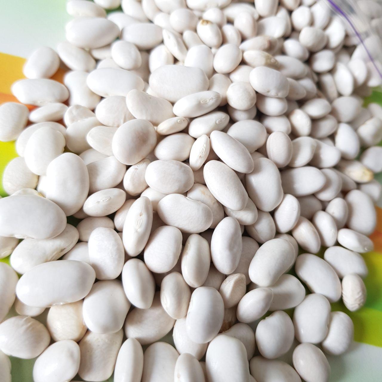 Насіння квасоля столова 50 шт. Білий (2976303972)