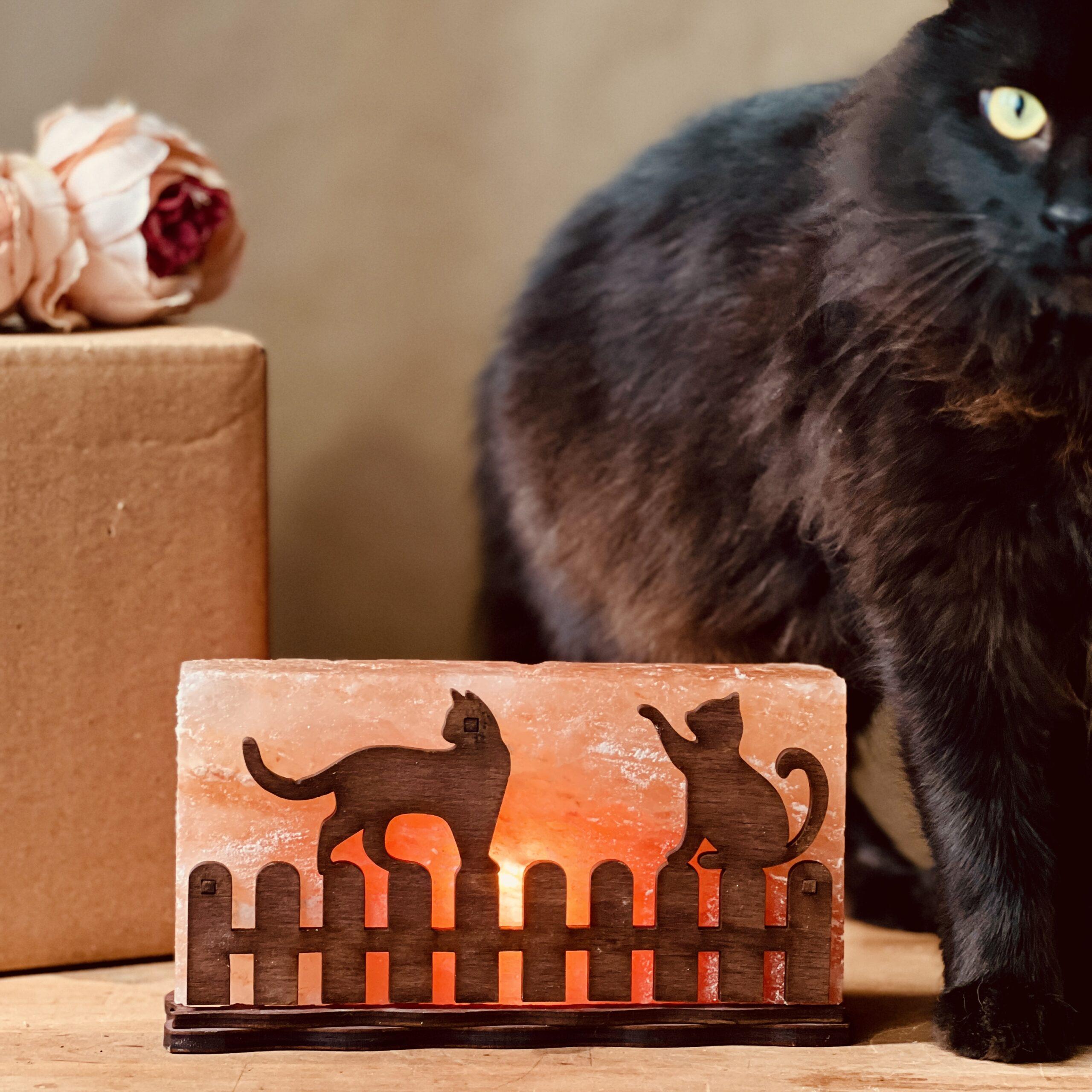 Соляна лампа декоративна Himalayan Коти на паркані 1 кг (29909030) - фото 8