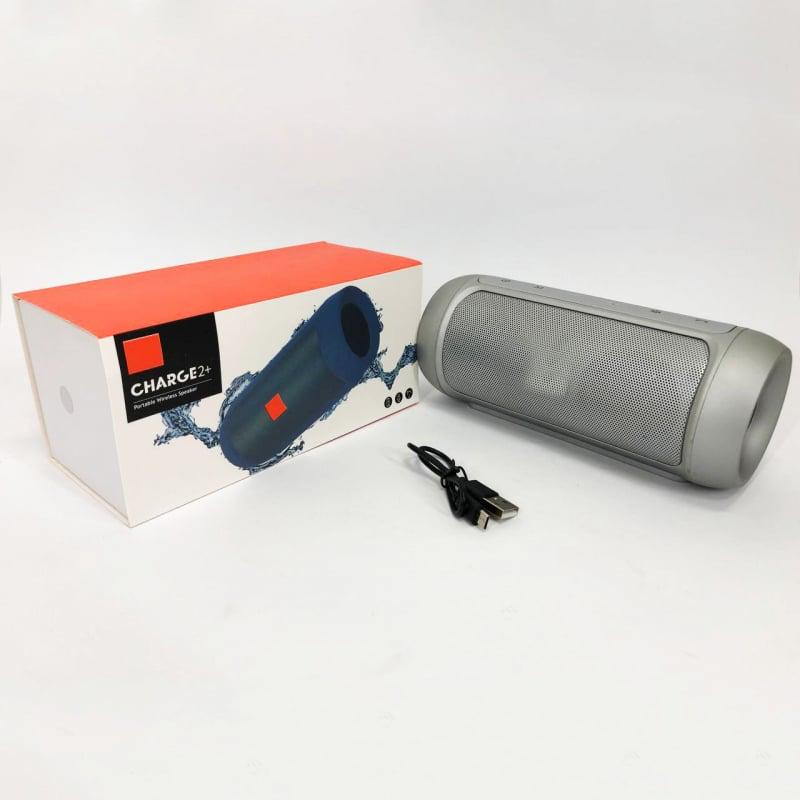 Колонка Charge J2 Silver (tf5134) - фото 13