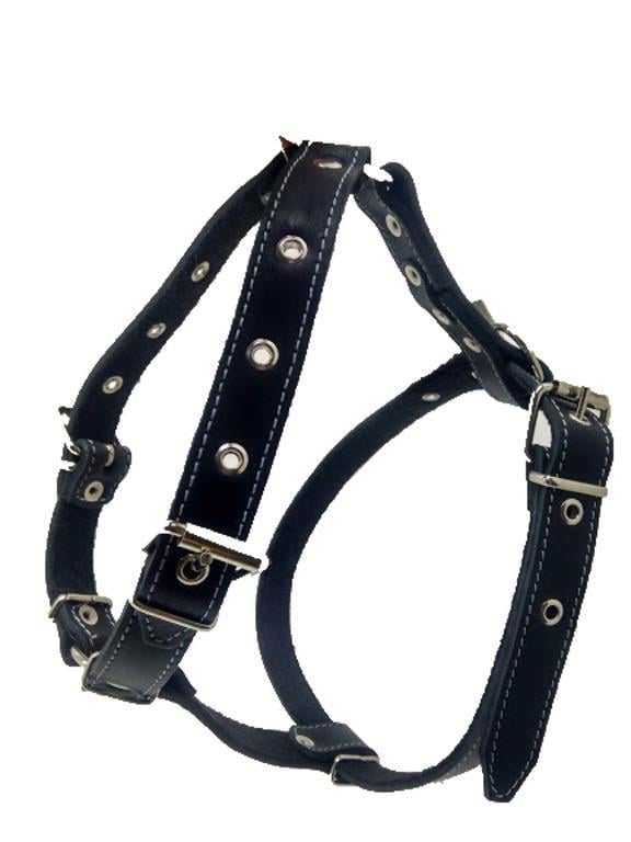 Шлейка для собак Стаффорд №1 кожаная Черный (ф276)