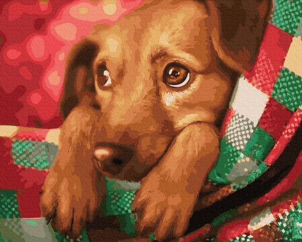 Картина по номерам Brushme Любимый щенок 40x50 см (GX31634)