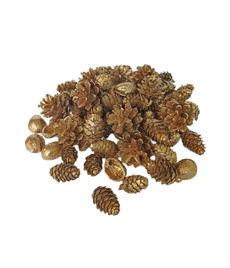 Набор натуральных шишек и орешков для декора 50 шт. (SH-9)