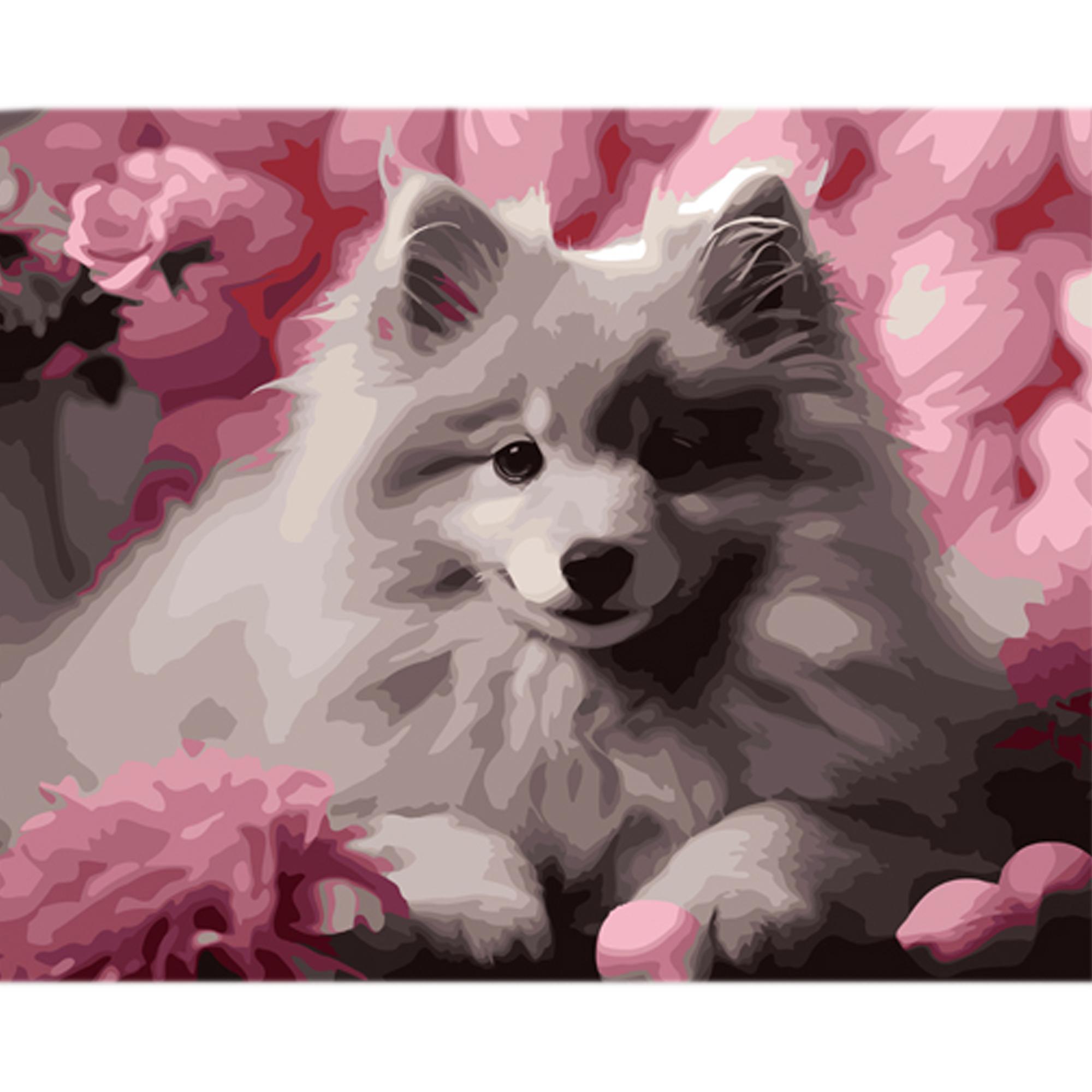 Картина по номерам Strateg Шпиц на фоне розовых оттенков на цветном фоне 40x50 см (MZ022)