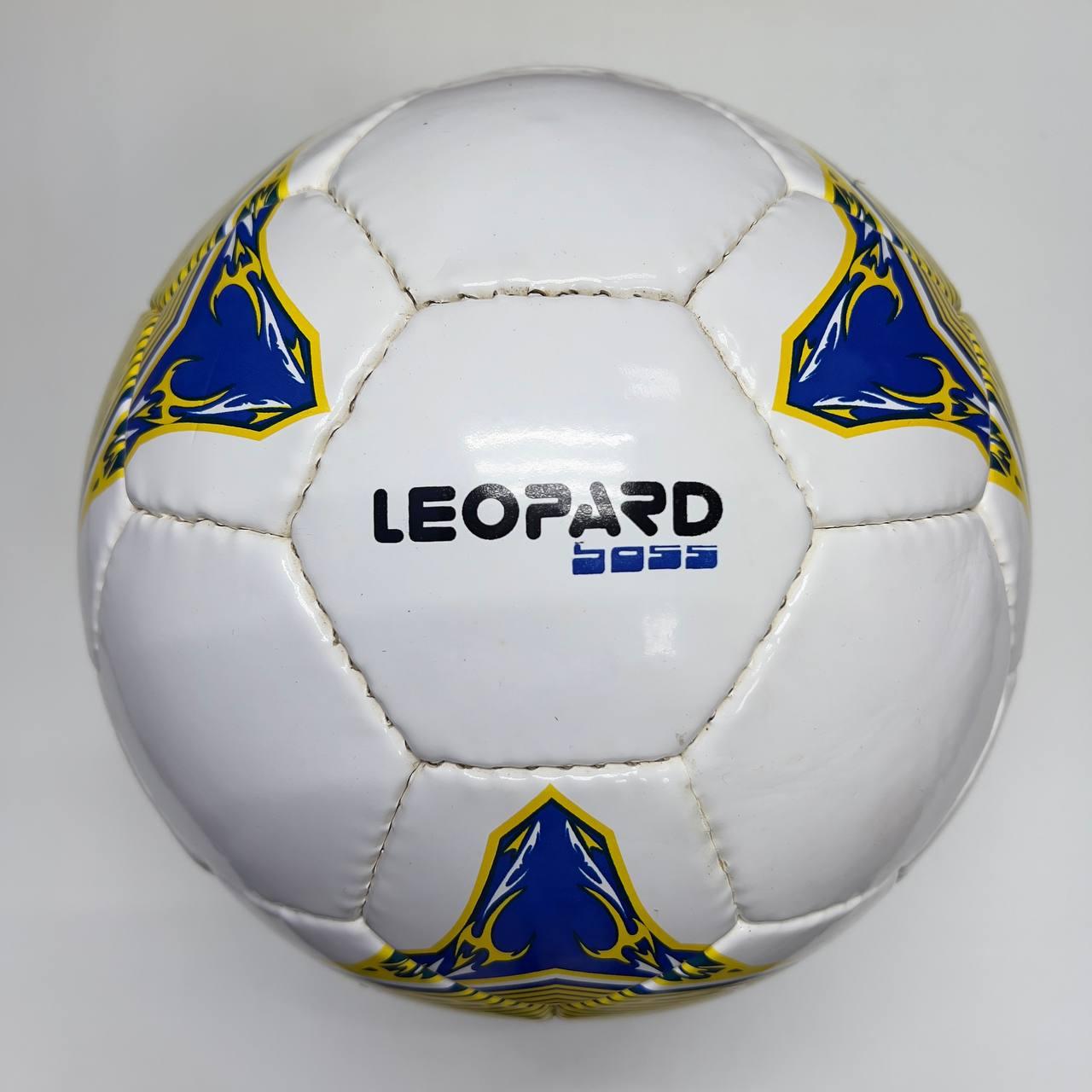М'яч футбольний Practic LEOPARD Size 5 (11260685)