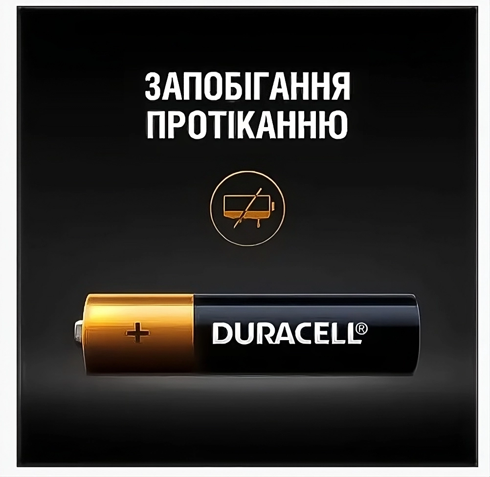 Батарейки Duracell Simply AAA щелочные 1,5 V LR6 2 шт. (13510163) - фото 3 Батарейки Duracell Simply AAA щелочные 1,5 V LR6 2 шт. (13510163) - фото 3