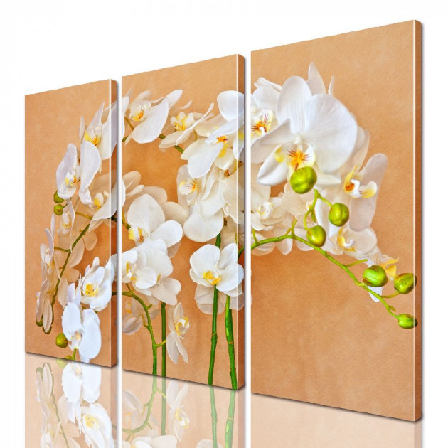 Картина модульная ArtStar ADFL0168 150х180 см 3 части