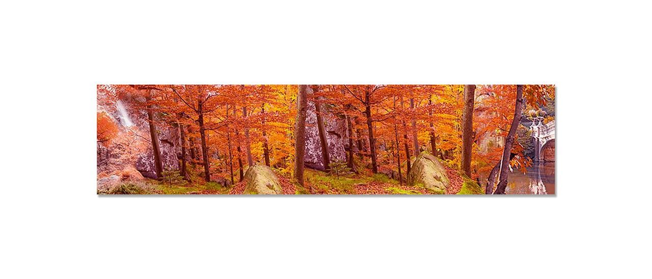 Наклейка виниловая на кухню Zatarga Осенний Лес 600х2500 мм (1271805794)