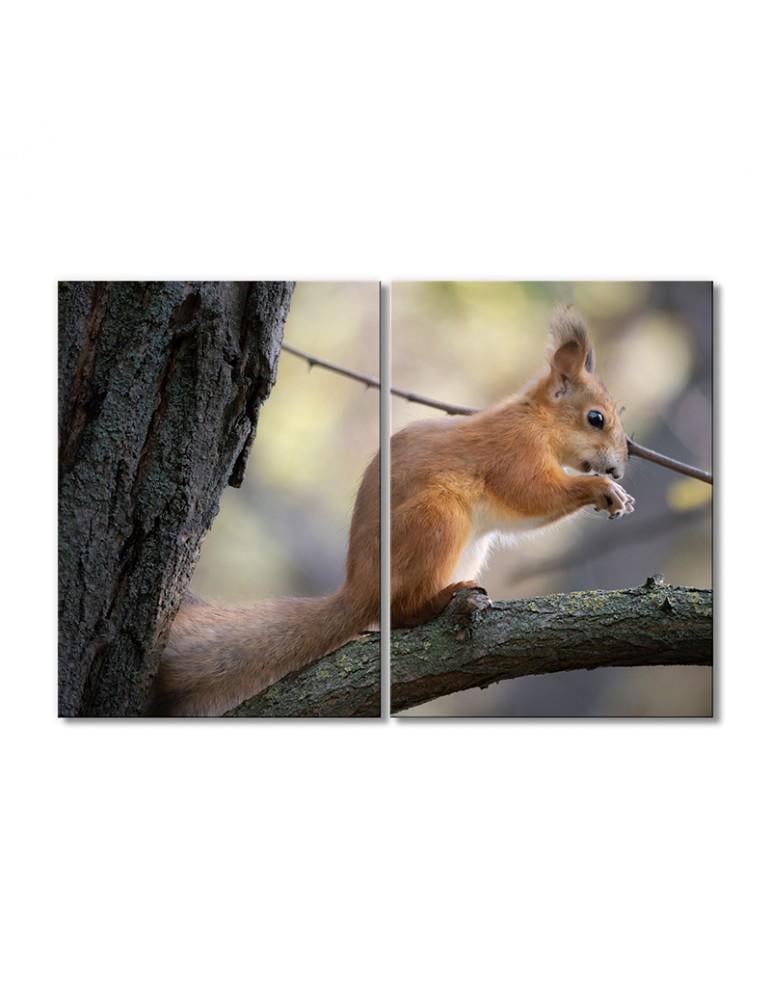 Картина модульная Рыжая белка 2 модуля 40х60 см