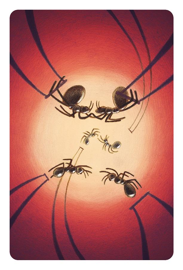 Настільна гра Libellud Діксіт 8: Гармонія (15972) - фото 5 Настільна гра Libellud Діксіт 8: Гармонія (15972) - фото 5