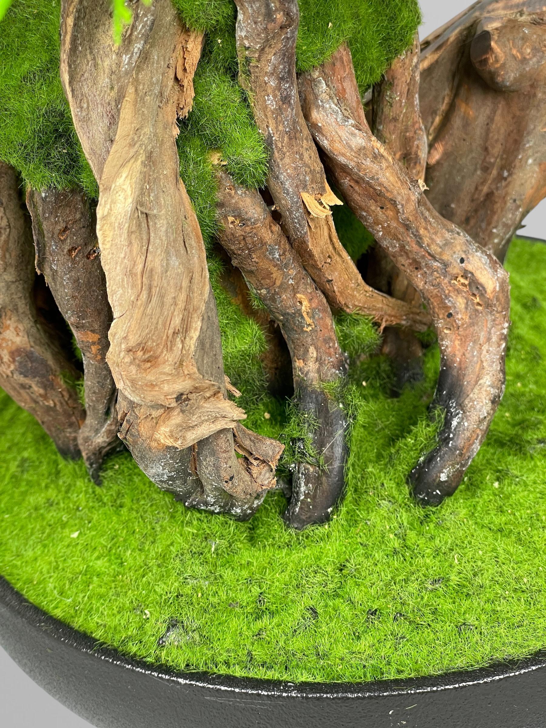 Бонсай 51 см Зеленый (Б010) - фото 4 Бонсай 51 см Зеленый (Б010) - фото 4