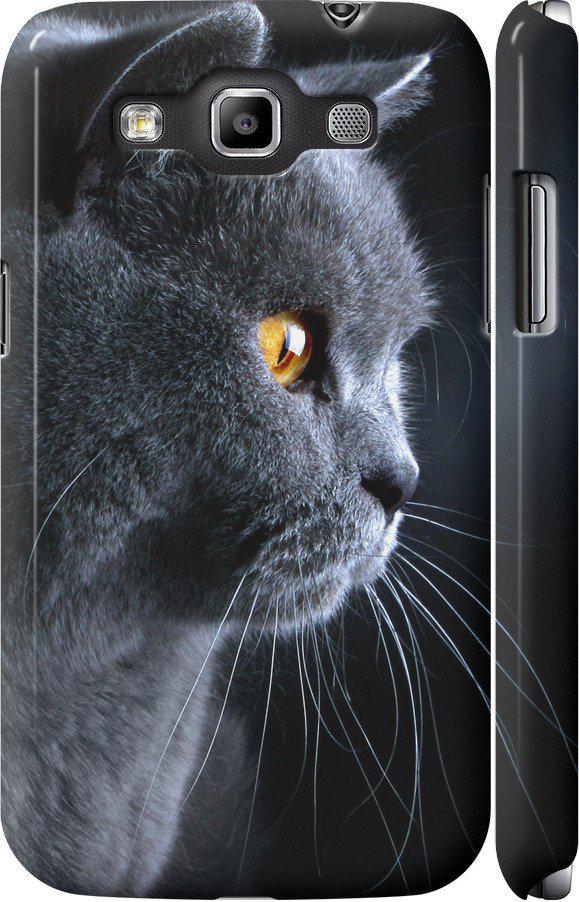 Чехол на Samsung Galaxy Win i8552 Красивый кот (3038m-51-42517)