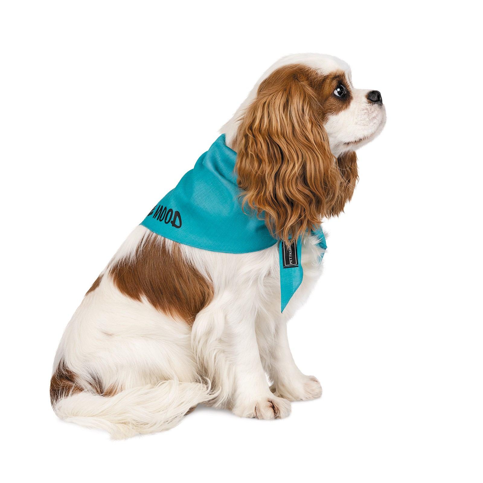 Бандана Pet Fashion Weekend M-XL Голубой (PR242113)