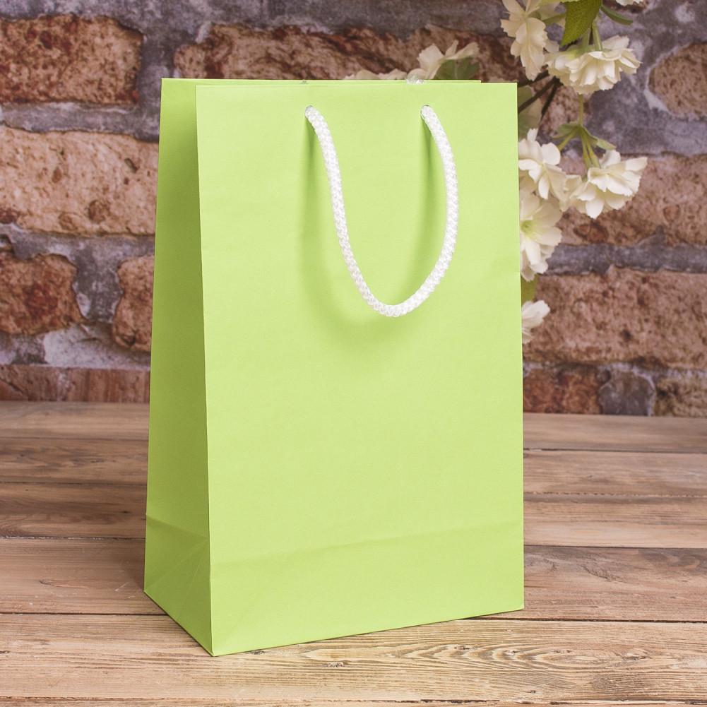 Пакет TMK 23x15x8 см Салатовый (1446-tmk-000)