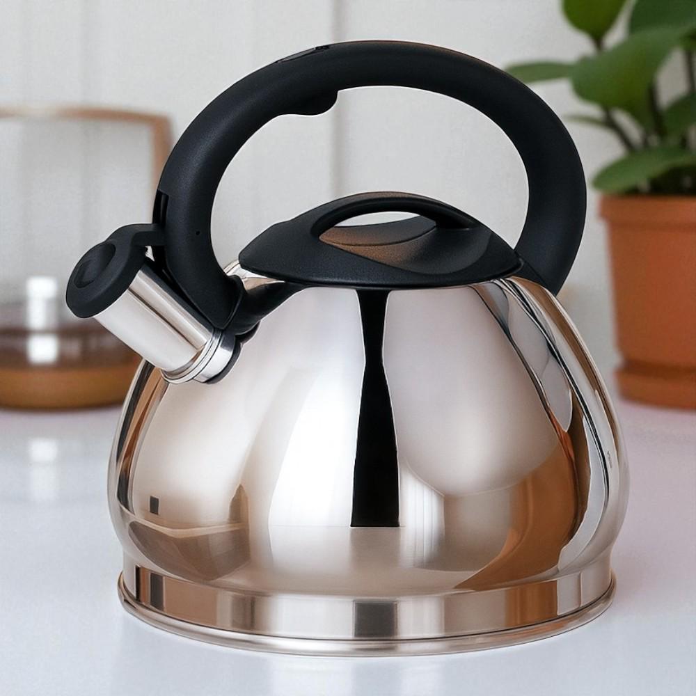 Чайник для плиты SimpleSteel с свистком нержавеющая сталь одинарное дно 3,5 л (03-MH-5179)