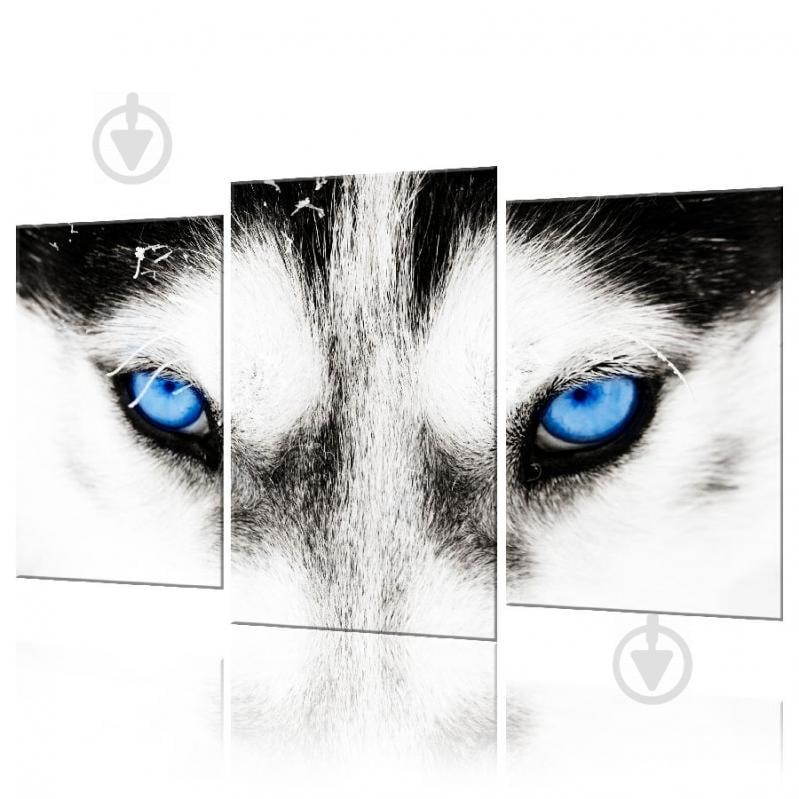 Модульная картина Волк ADJ0013 размер 70 х 105 см