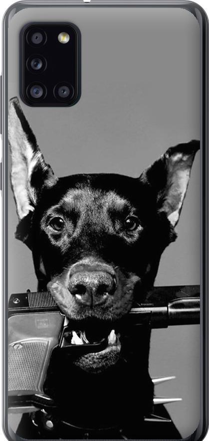 Чехол на Samsung Galaxy A31 A315F Доберман (2745u-1908-42517)