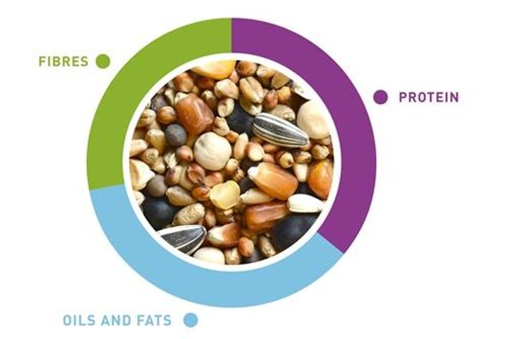Корм основний Padovan NatMix Colombi для поштових та декоративних голубів 5 кг (PP00158) - фото 2 Корм основний Padovan NatMix Colombi для поштових та декоративних голубів 5 кг (PP00158) - фото 2