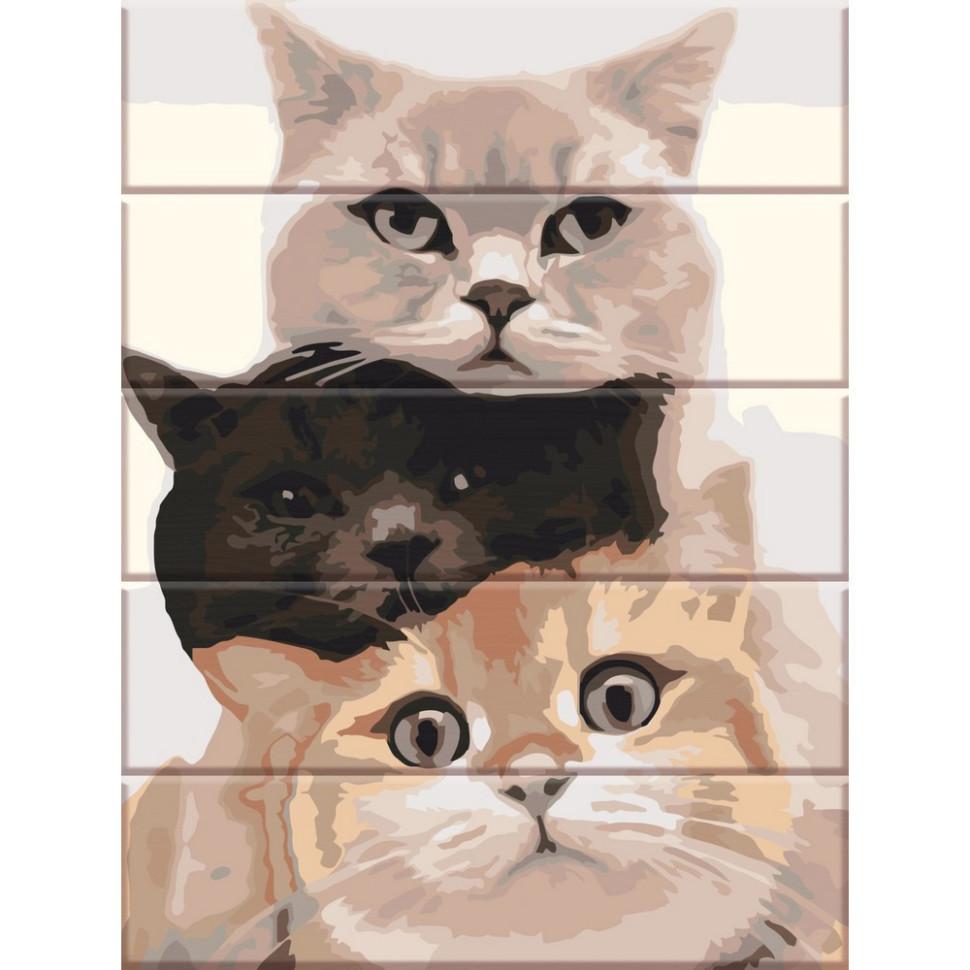Картина по номерам ArtStory Разноцветные коты 30x40 см (ASW190)
