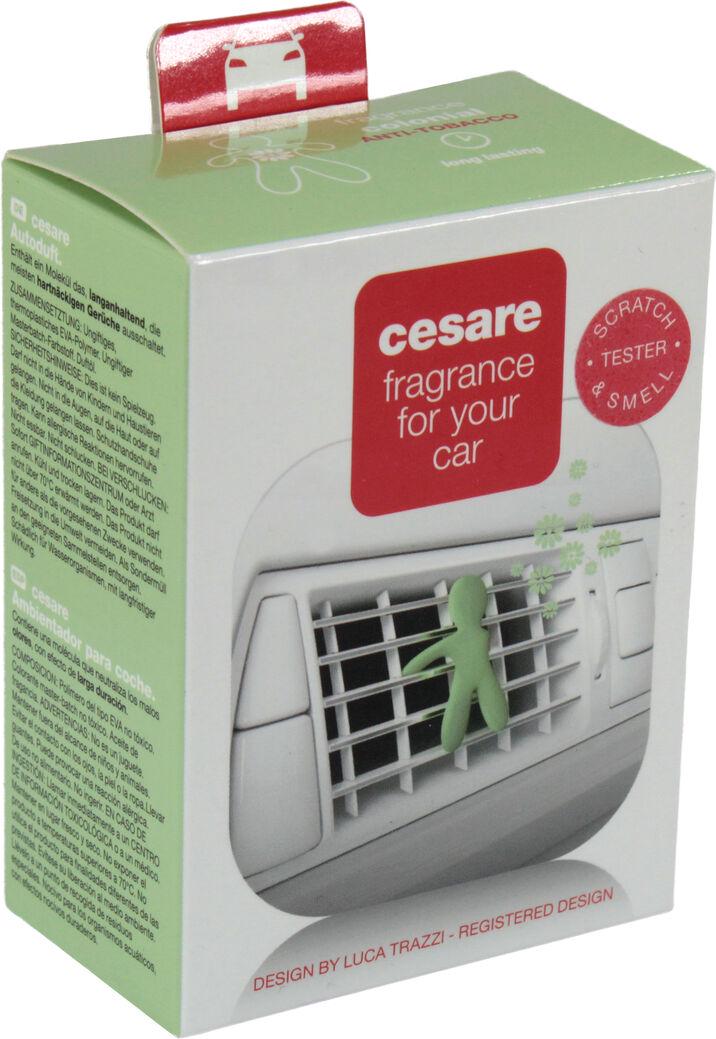 Ароматизатор Mr&Mrs Cesare Car Freshner Pastel Colonial/Anti Tobacco полимерный Green
