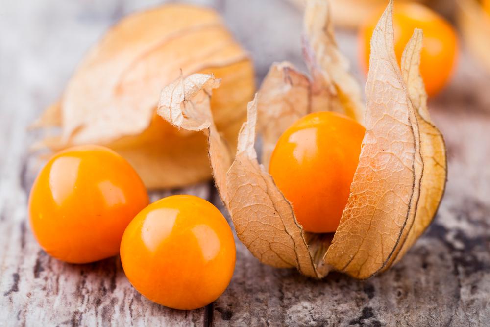 Семена физалиса земляничный 0,2 г (RS-00072) - фото 4