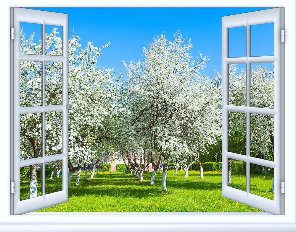 Фотообои WS Wallpaper Окно с видом на парк 150x100 см (429366760)