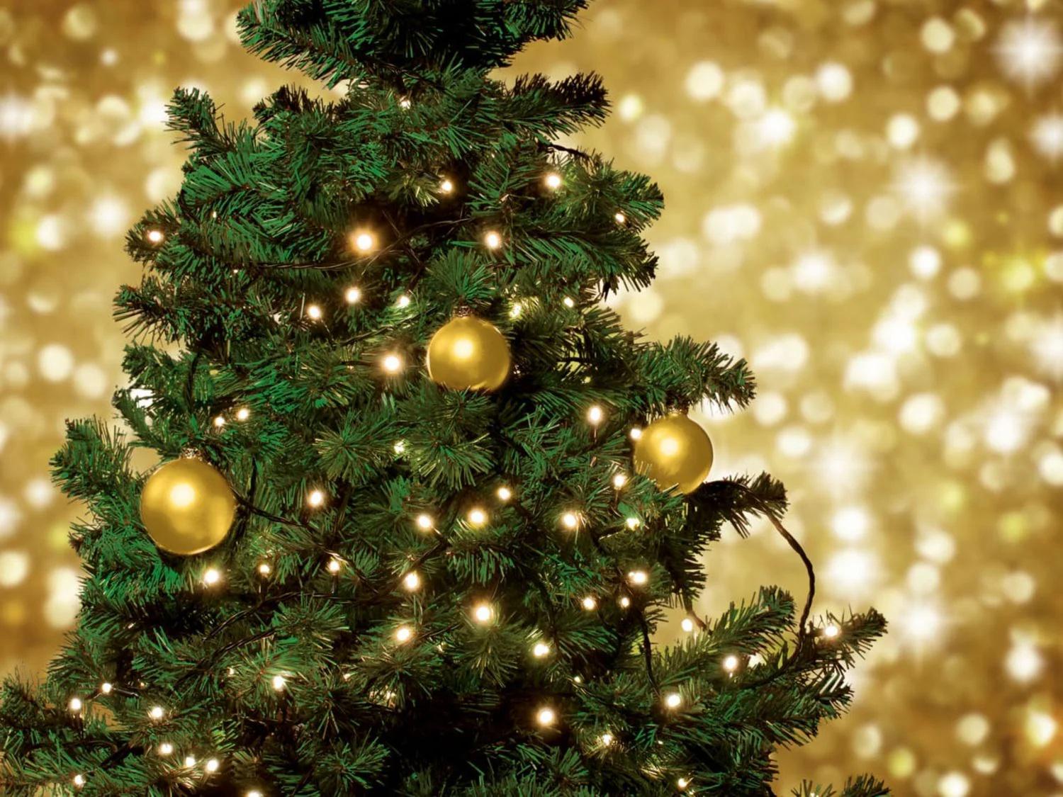 Гірлянда Livarno Home на батарейках/таймер 50 LED 5,4 м IP44 (N1-00475) Гірлянда Livarno Home на батарейках/таймер 50 LED 5,4 м IP44 (N1-00475)