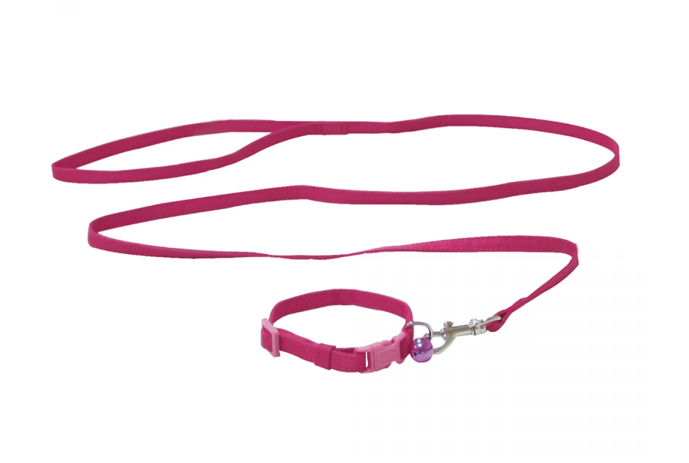 Ошейник с поводком Croci MINI нейлоновый 16-24 см/120 см Розовый/Бирюзовый (1254841034)