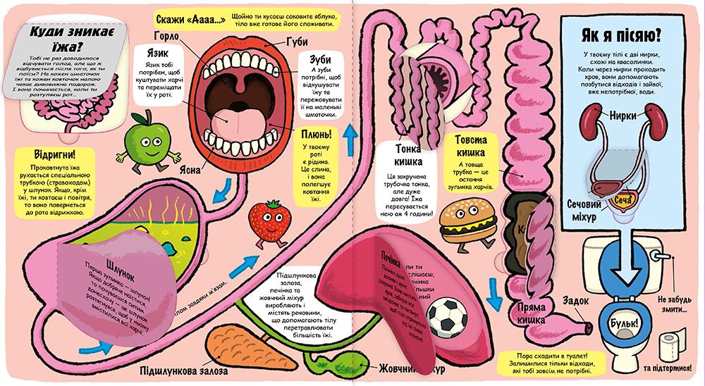 Дитяча книга "Маленькі дослідники. Моє дивовижне тіло" - фото 3
