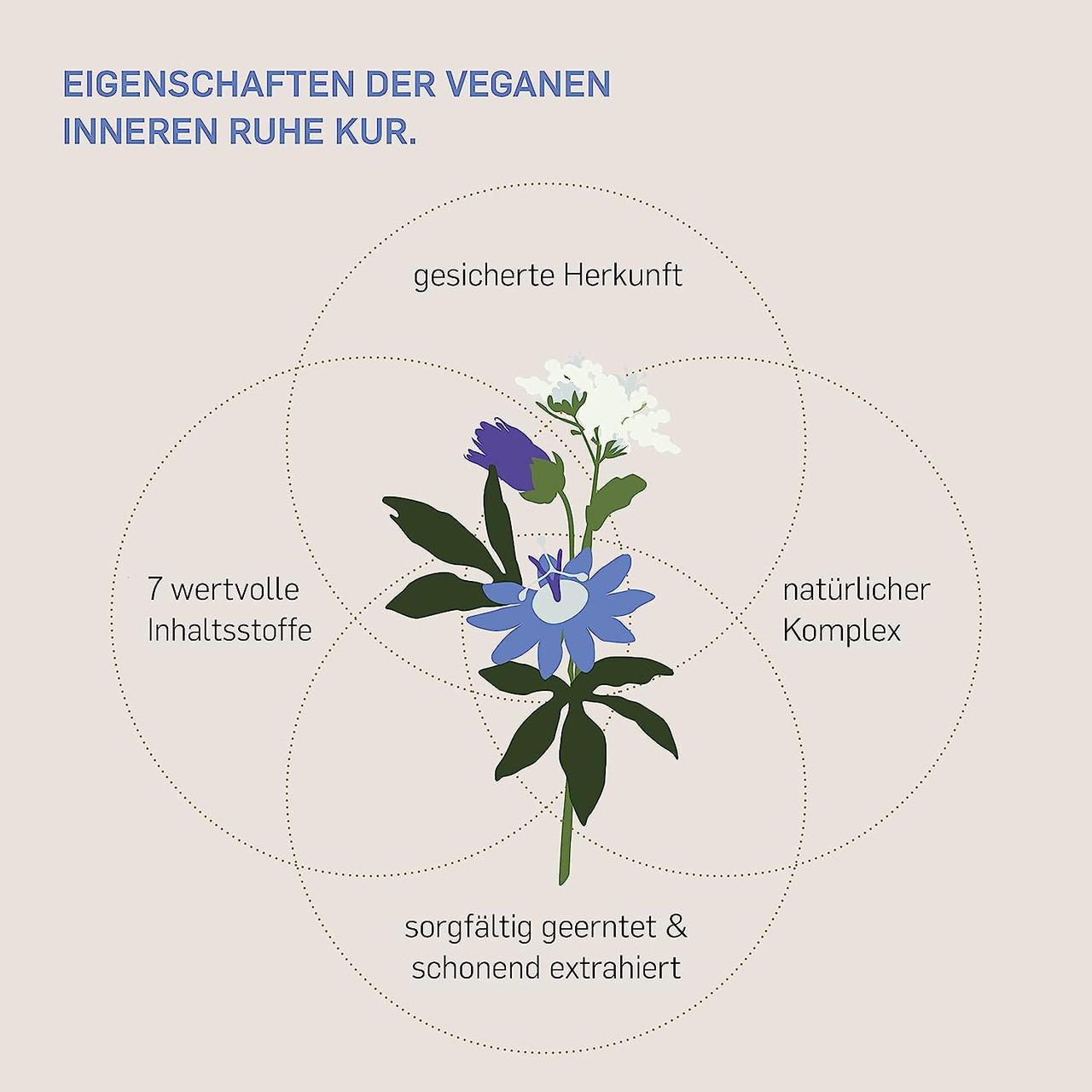 Витамины для нервной системы Kurkraft Внутреннее спокойствие 90 капс. (50091712) - фото 3