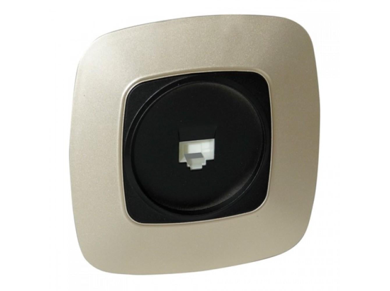 Розетка встроенная HOROZ ELECTRIC ТФ ELA Золотой/Черный (112-007-0010-040)