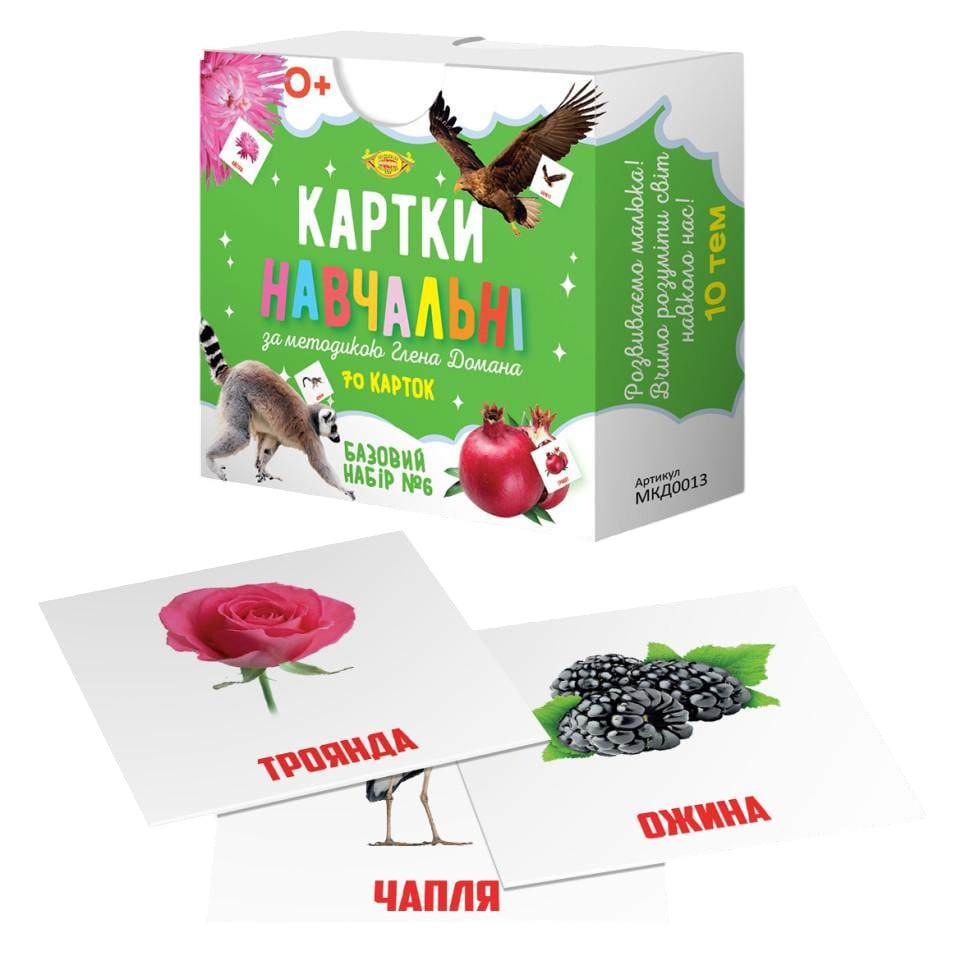 Картки навчальні Глена Домана №6 Майстер укр (MKD0013)