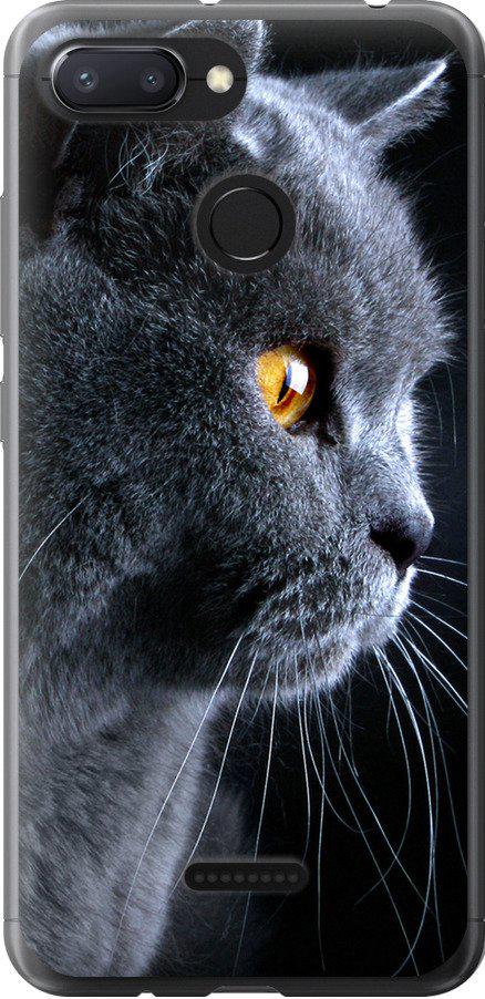 Чехол на Xiaomi Redmi 6 Красивый кот (3038t-1521-42517)