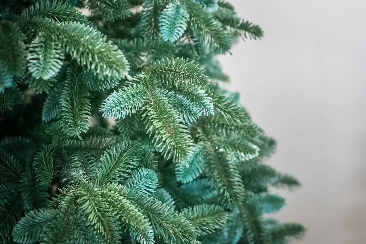 Искусственная елка Канадская 1,8 м Голубовато-зеленый - фото 3 Искусственная елка Канадская 1,8 м Голубовато-зеленый - фото 3