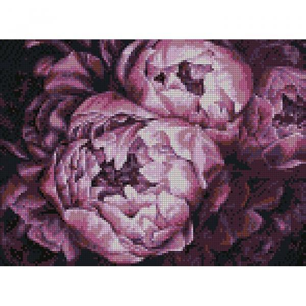 Алмазная мозаика Идейка Королевские пионы 30х40 см (AMO7006-mt)