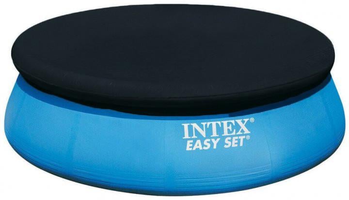 Бассейн Intex 28110 Easy Set наливной семейный с тентом и подстилкой - фото 3