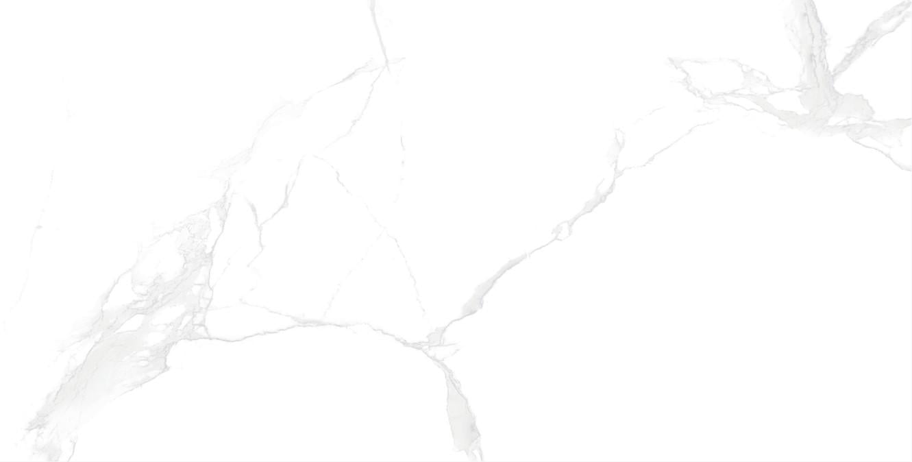 Керамогранітна плитка універсальна ST Cararra 120х60 см (21129)