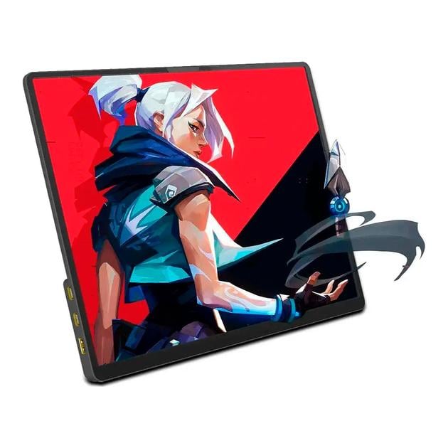 Монитор портативный ZSUS 14A-2K