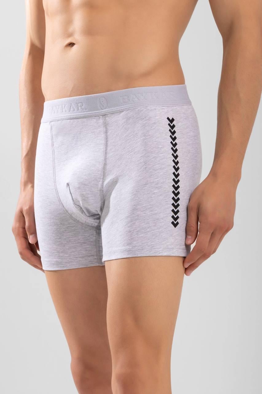 Трусы-боксеры мужские BAYKAR L р. 48-50 Серый (1244-20)