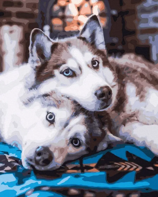 Картина по номерам Brushme Хаски 40x50 см (BRM44317)