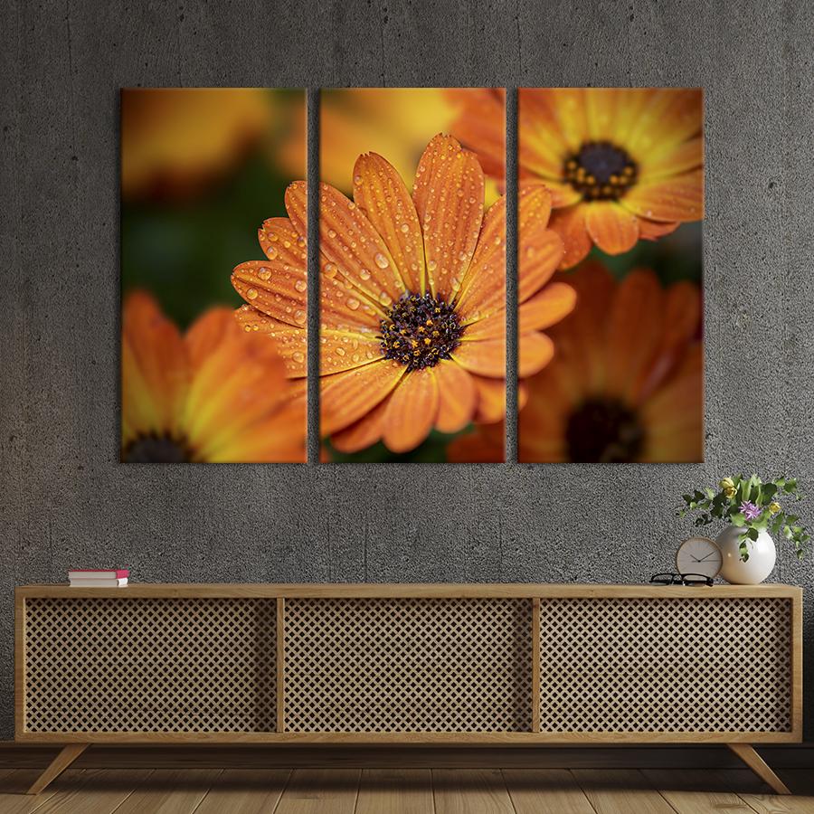 Картина на холсте триптих Оранжевые цветы календулы 78x48 см (790-31)