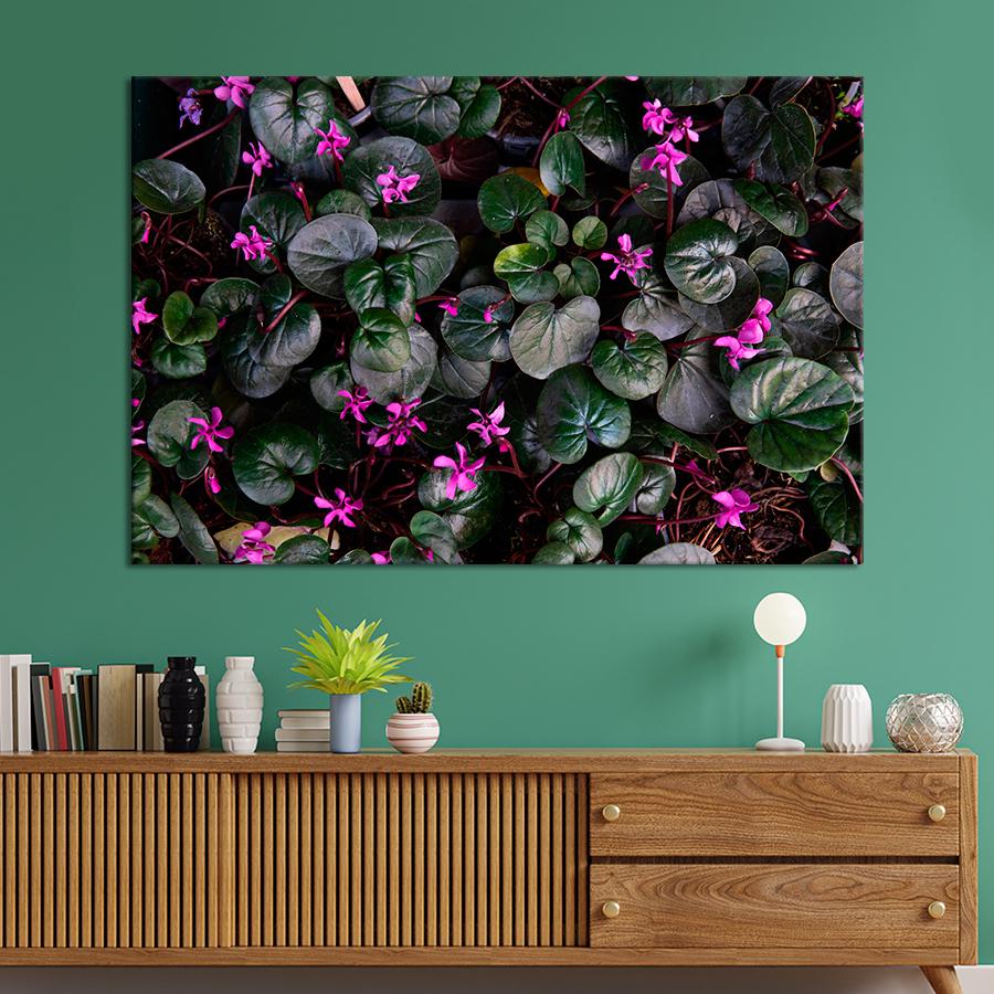 Картина цветы и растения Цветущая альпийская фиалка 120x80 см (A977-1)