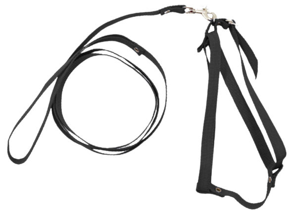 Шлейка-поводок для собак Човник капроновая 30х30-130 см Черная (2296440472) Шлейка-поводок для собак Човник капроновая 30х30-130 см Черная (2296440472)