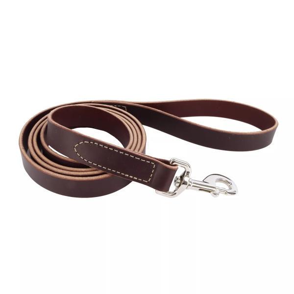 Повідець для собак Coastal Circle-T Dog Leash 2,5 см х 1,8 м