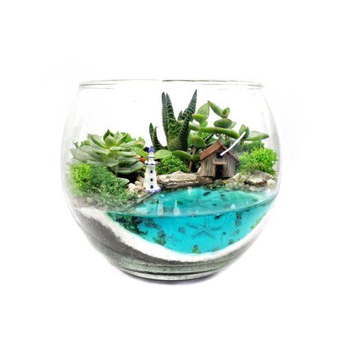 Морской флорариум с суккулентами и имитацией воды Остров 17 см