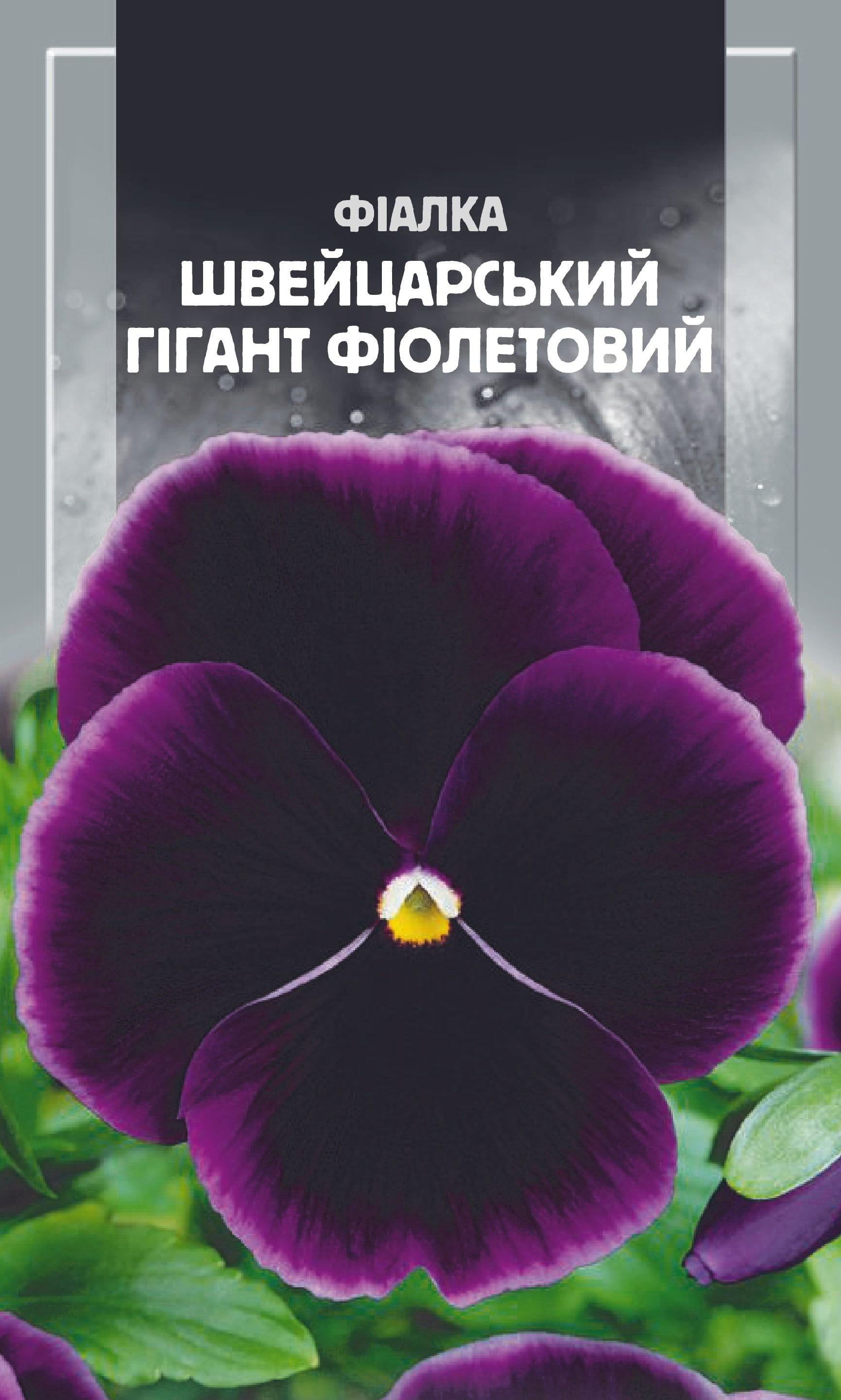 Семена Фиалка садовая Florium Швейцарский гигант Фиолетовый двухлетний (17703)